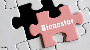 Bienestar-ElisabetArrietaAranguren